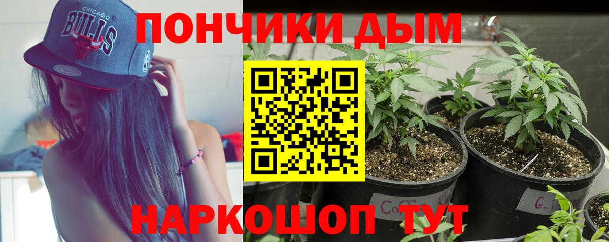 Конопля SATIVA & INDICA Чебаркуль